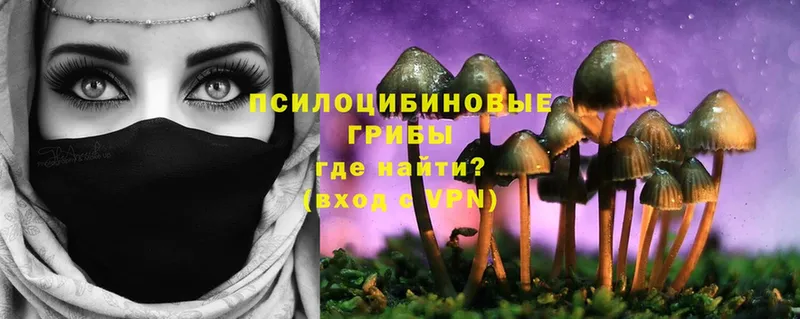 Галлюциногенные грибы Psilocybe  продажа наркотиков  Надым 